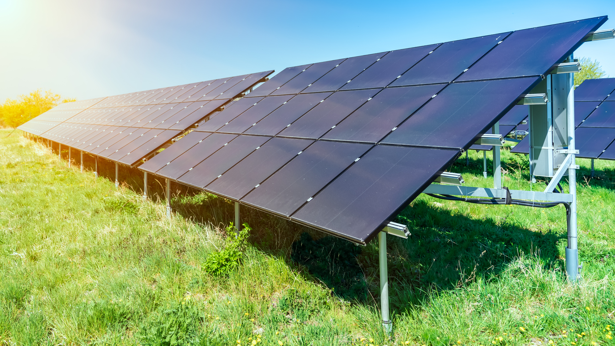 Denton Solar Panels
