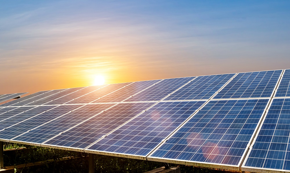 Rows of solar panels are positioned outdoors, reflecting sunlight at sunset under a clear sky—a testament to expert solar panel installation in Lafourche Parish.